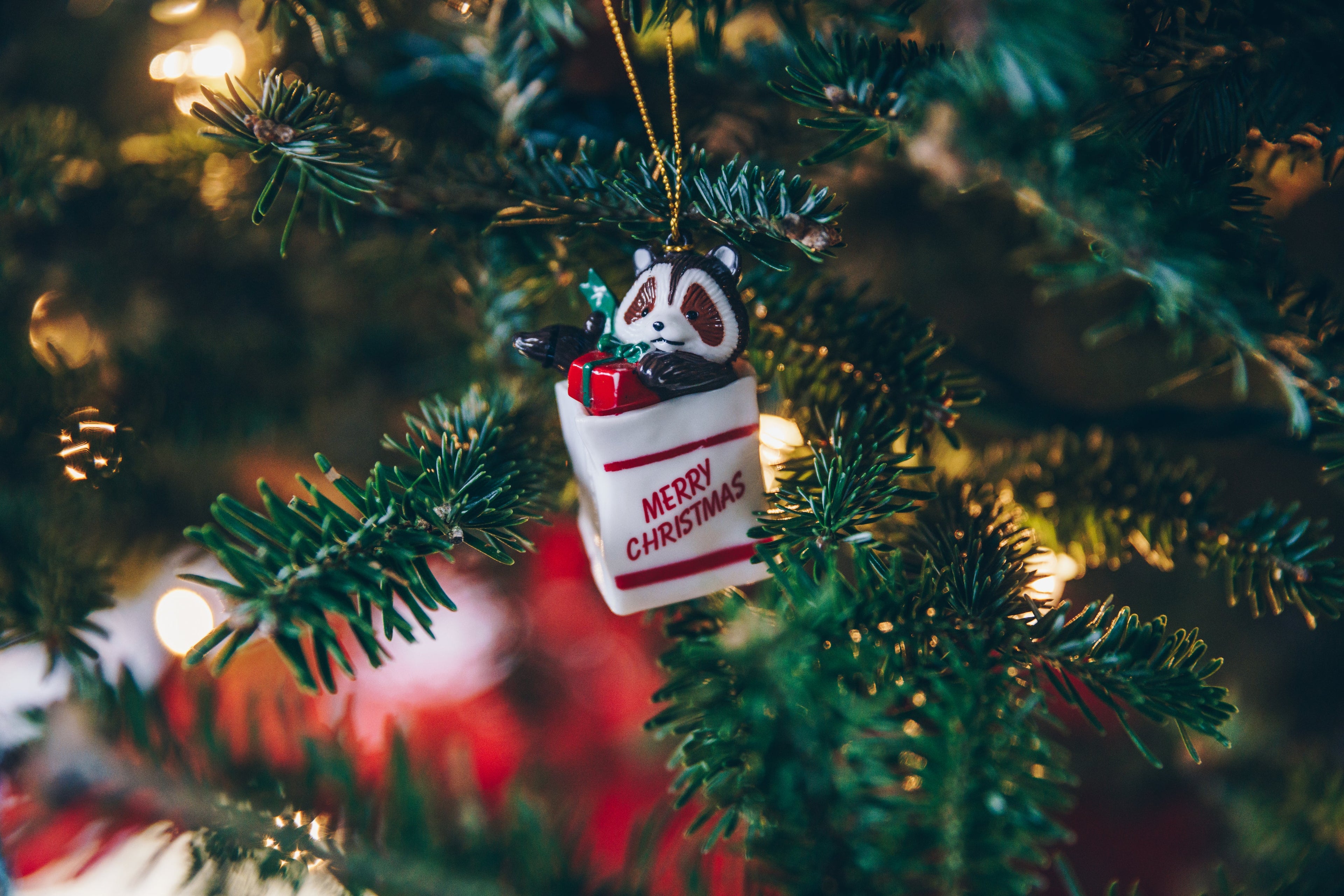 Loslassen und Auftanken – QiGong für die Weihnachtszeit