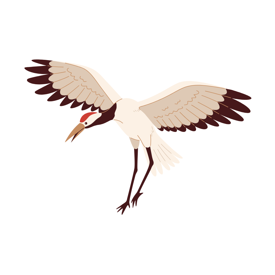 12er Block: Die Kranichübungen, Kursort: München Solln (Mittwoch ab 23.9.26)