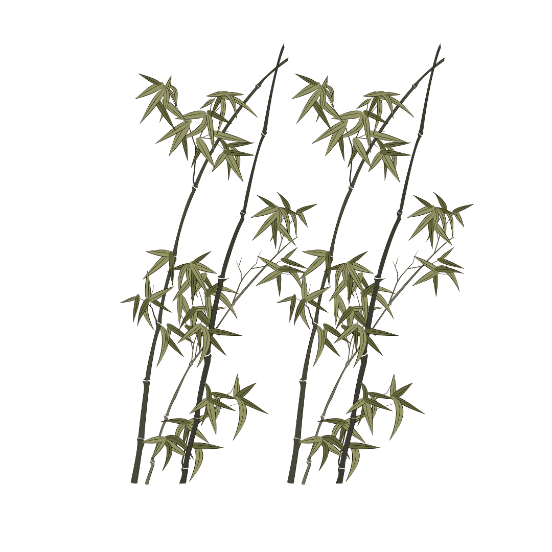 Kurs 5er Block: Taiji-QiGong in 28 Schritten – Teil 2, Kursort: München Solln (Montag ab 1.6.26) Fortsetzung