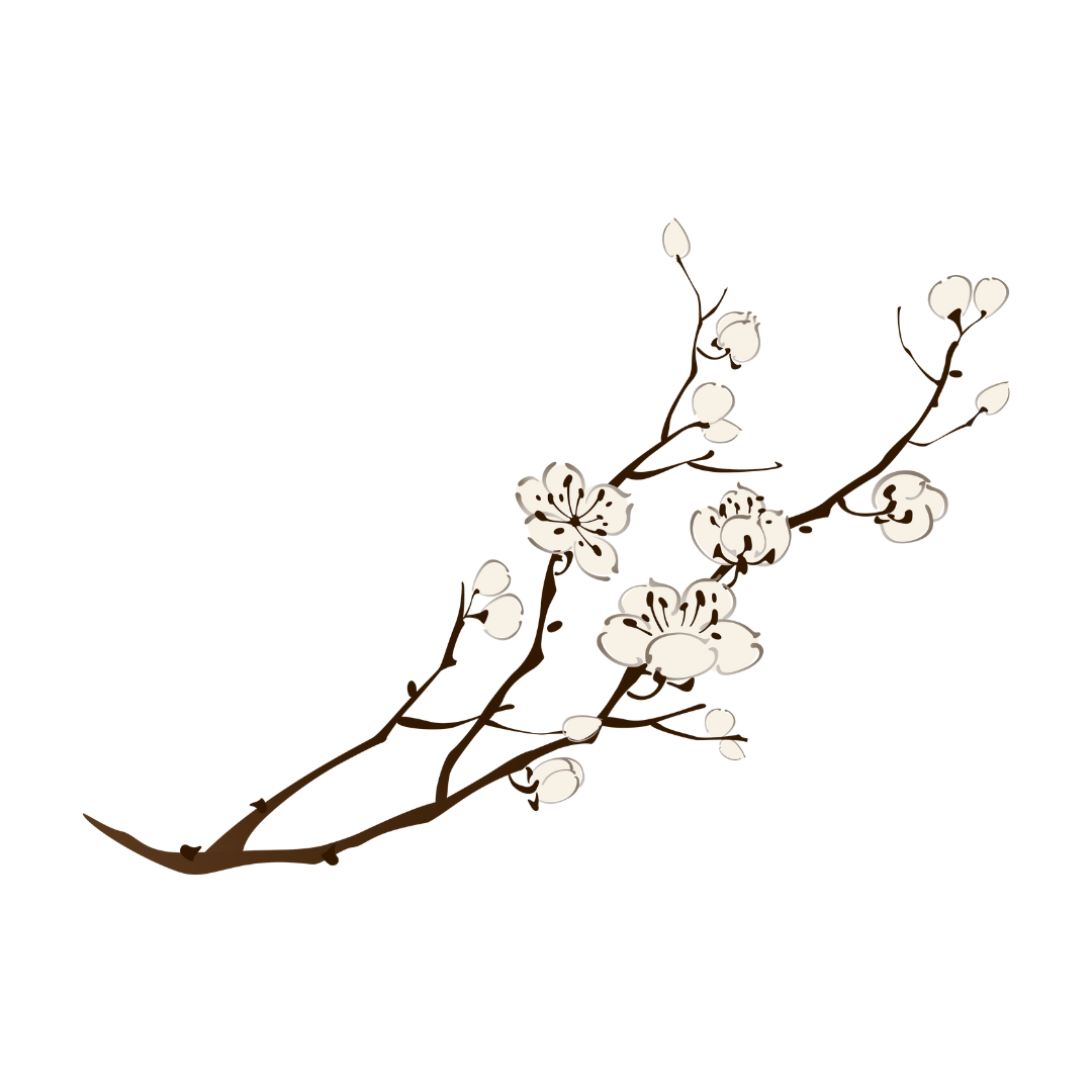 Kurs 5er Block: Taiji-QiGong in 28 Schritten – Teil 2, Kursort: München Solln (Mittwoch ab 3.6.26) Fortsetzung